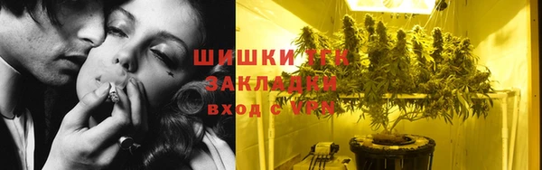 эйфоретик Майский