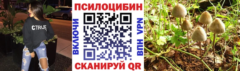 Псилоцибиновые грибы Cubensis  MEGA   Яблоновский 